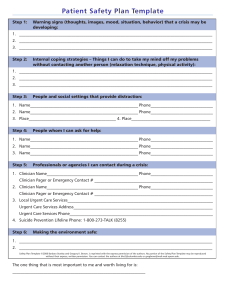 Brown Stanley Safety Plan Template