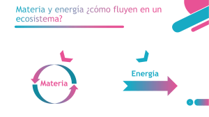 MATERIA Y ENERGIA