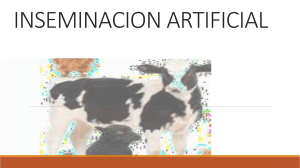 artificla inseminacion