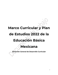 1 Marco Curricular ene2022