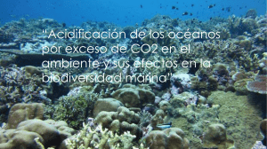 Acidificación de los océanos
