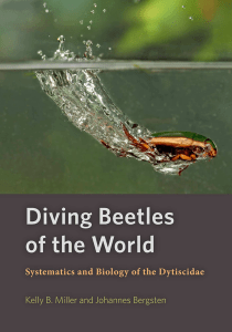 Diving Beetles of the World Systematics and Biolo 3343724 (z-lib.org)