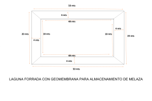 FOSA DE MELAZA PLANTA GARLEON1 - copia