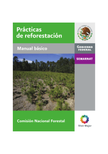 Practicas de reforestacion manual basico