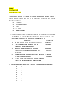 Consolidació 9 orientadora 11