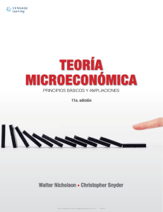 Teoría Microeconómica. Principios Básicos y Ampliaciones