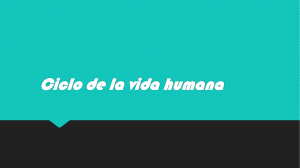 Ciclo de la vida humana