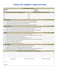 Check List Arnes y lineas de vida- REV