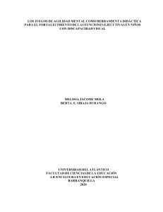 JUEGOS DE AGILIDAD MENTAL COMO HERRAMIENTA DIDÁCTICA PARA EL FORTALECIMIENTO DE FUNCIONES EJECUTIVAS EN NIÑOS CON DISCAPACIDAD VISUAL