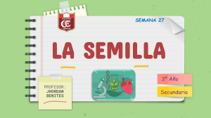 TEMA 27 - LA SEMILLA -  3º SECUNDARIA