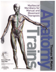 Anatomy Trains Myofascial Thomas W Myers