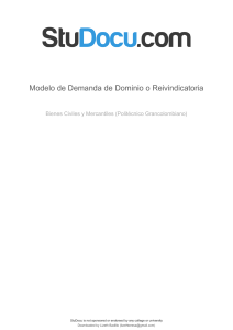 modelo-de-demanda-de-dominio-o-reivindicatoria