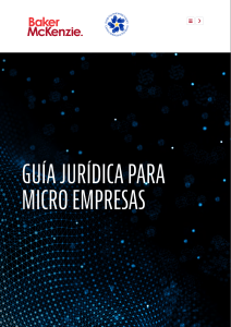 gua-micro-empresas-vf 68pag