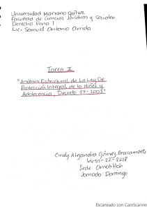 Analisis de la Ley PINA - Penal I - Tarea 2 - Cindy Gomez Bracamonte