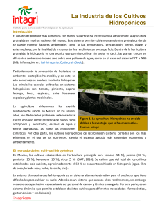 31. La Industria de los Cultivos Hidroponicos