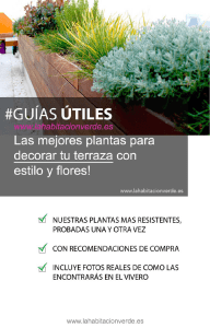GUIA-Las 9 plantas resistentes para decorar tu terraza con estilo y flores
