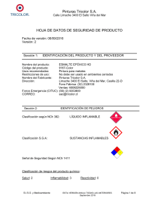 Hoja de Seguridad Esmalte Ep&oacute;xico HD - Pinturas Tricolor