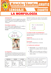 La Morfologia