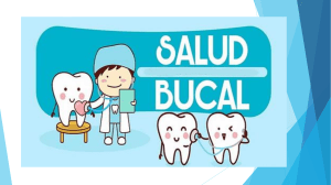 Salud Dental 24 ATENCION PRIMARIA