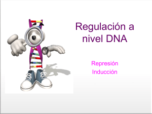 regulación a nivel DNA