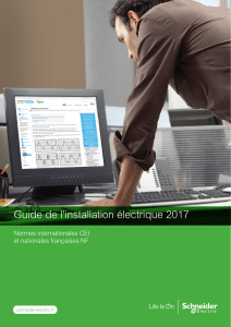Guide de l'installation électrique 2017