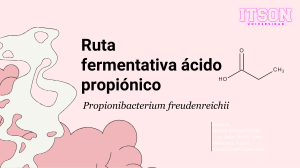 Ruta fermentativa ácido propiónico