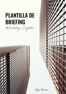 Plantilla Briefing