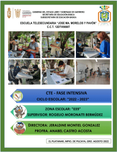 PRODUCTOS CTE FASE INTENSIVA 12DTV0008T (1)