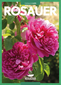 Catalogo de Rosas 2019 Los Álamos de Rosauer