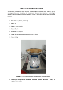 Informe de Necropsia 6A2