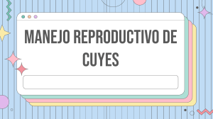 Manejo Productivo de Cuyes