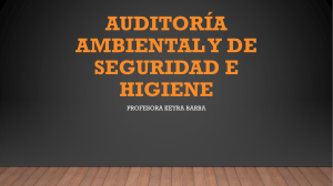 Auditoría Ambiental y de Seguridad e Higiene