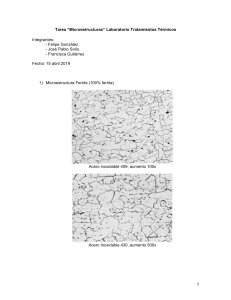 Tarea Microestructuras