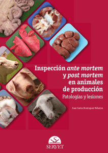 inspección post mortem 