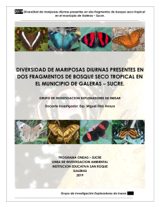 DIVERSIDAD DE MARIPOSAS DIURNAS PRESENTES E DOS FRAGMENTOS DE BOSQUE SECO TROPICAL EN EL MUNICIPIO DE GALERAS - SUCRE