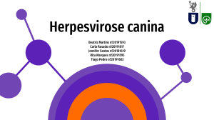 Herpesvirose canina(FINAL)