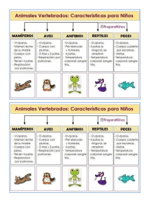 clasificacion de animales