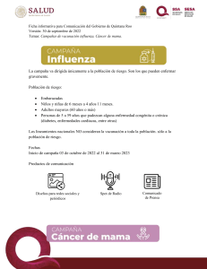 Ficha informativa Campañas Influenza