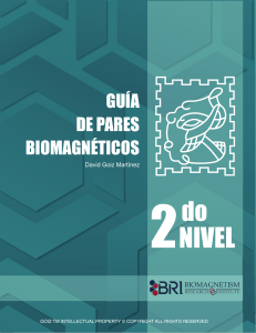 Guía de Pares Biomagnéticos 2do Nivel - David Goiz Martínez