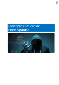 Conceptos básicos de la ciberseguridad