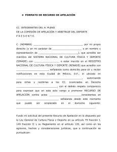 Formato - Recurso de Apelacio n (1)