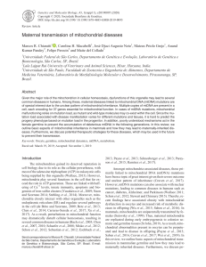 Maternal transmission of mitochondrial diseases Chiaratti et al 2020