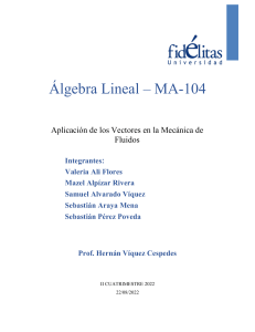 Vectores en Mec&aacute;nica de Fluidos: Aplicaciones y An&aacute;lisis