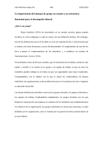 La importancia del manejo de grupo en cuanto a su estructura funcional para el desempeño laboral