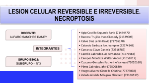 EXPOSICIÓN 2- SEMANA 3 GRUPO 22
