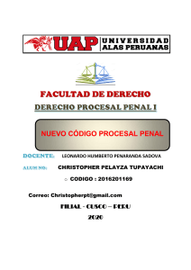 trabajo D procesal penal I  CHRIS 