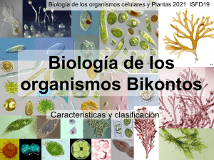 Biología de Bikonta 2021