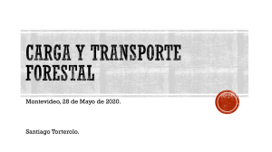 Carga Y Transporte Forestal 2020