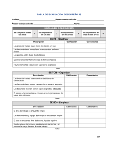 TABLA DE evaluacion 5s