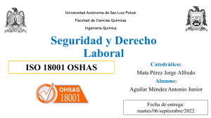 OHSAS 293678 AguilarMéndez